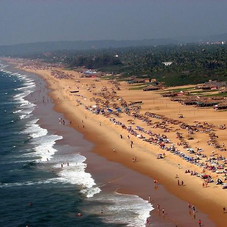 360° Beach Retreat Candolim Eksteriør billede